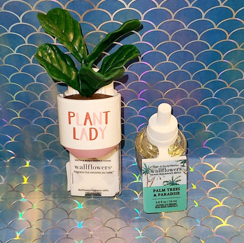 Plant Lady Wallflower Plug